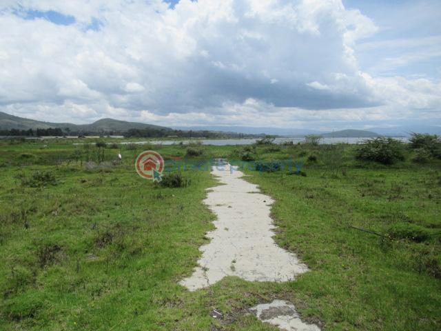 Land For Sale Moi South Lake Rd Naiavsha Naivasha East Nakuru - 0