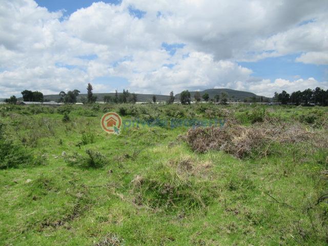 Land For Sale Moi South Lake Rd Naiavsha Naivasha East Nakuru - 6