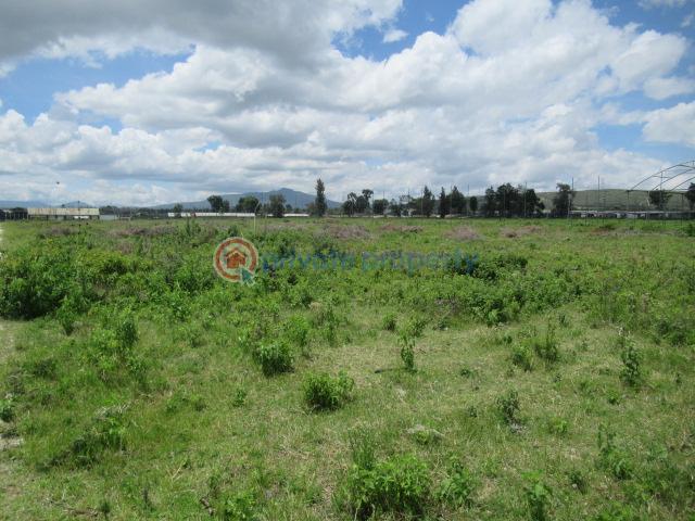 Land For Sale Moi South Lake Rd Naiavsha Naivasha East Nakuru - 7