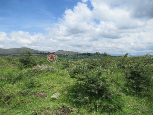 Land For Sale Moi South Lake Rd Naiavsha Naivasha East Nakuru - 5