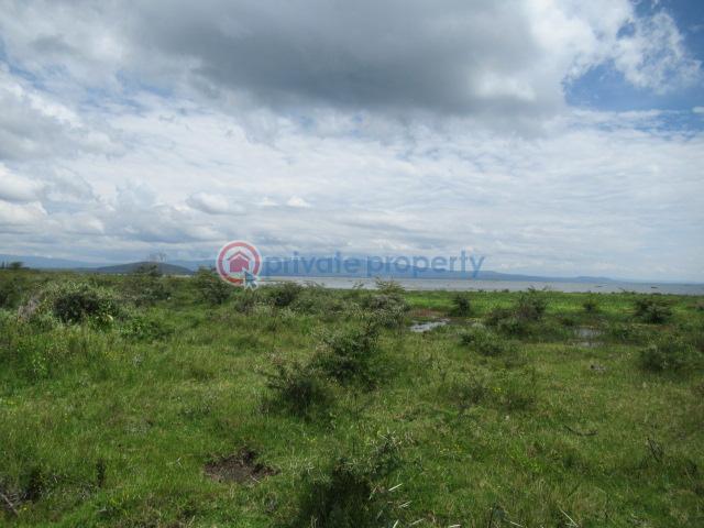 Land For Sale Moi South Lake Rd Naiavsha Naivasha East Nakuru - 3