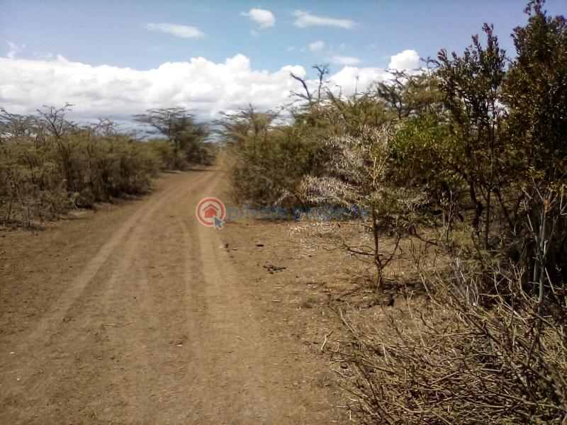 Land For Sale Nanyuki Rumuruti Rd Nanyuki Laikipia - 4
