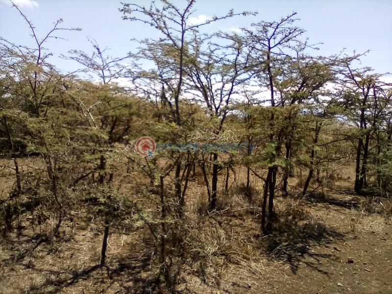 Land For Sale Nanyuki Rumuruti Rd Nanyuki Laikipia - 6