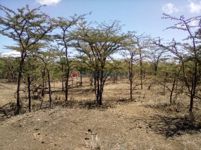 Land For Sale Nanyuki Rumuruti Rd Nanyuki Laikipia - 1
