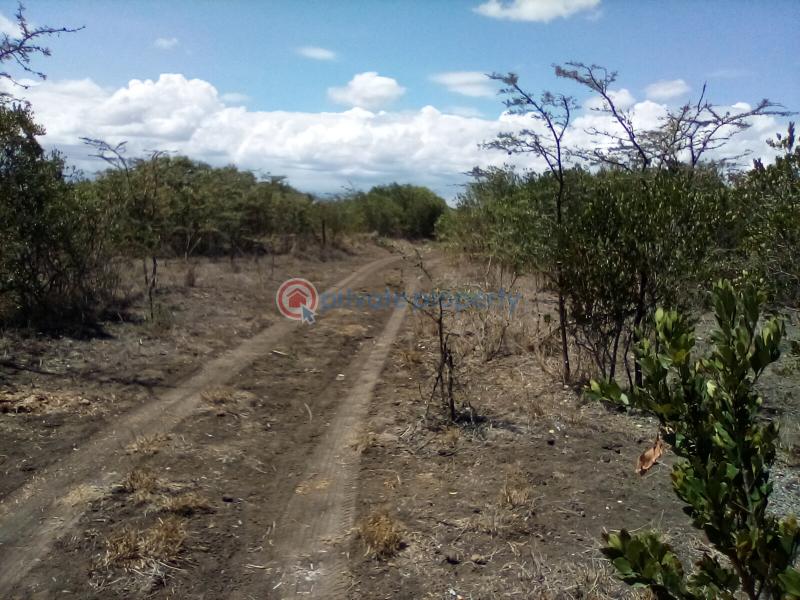 Land For Sale Nanyuki Rumuruti Rd Nanyuki Laikipia - 9