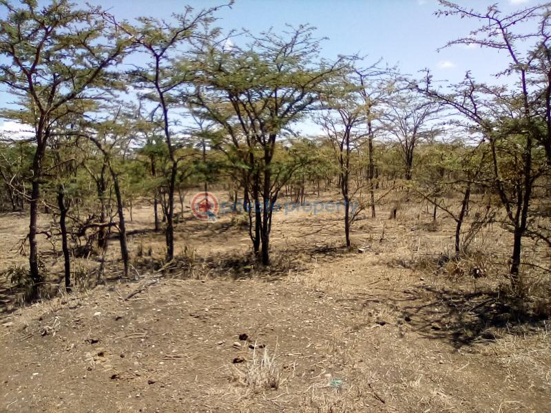 Land For Sale Nanyuki Rumuruti Rd Nanyuki Laikipia - 5