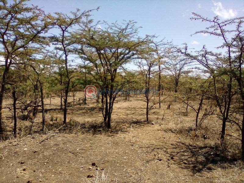 Land For Sale Nanyuki Rumuruti Rd Nanyuki Laikipia - 7