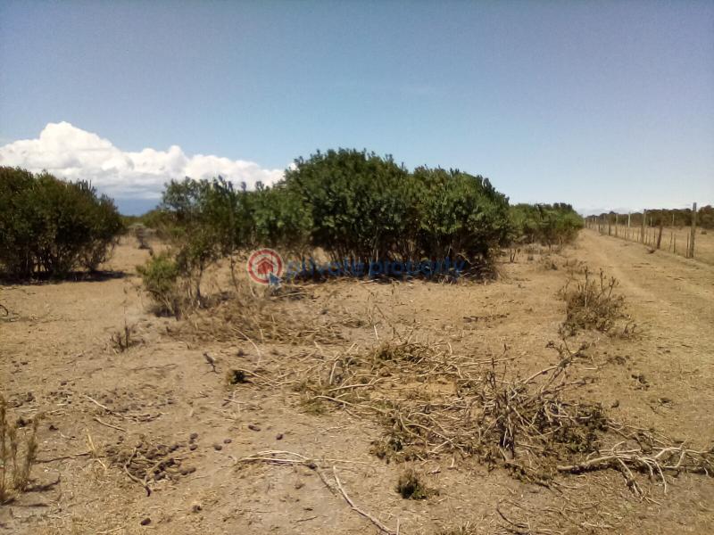 Land For Sale Nanyuki Rumuruti Rd Nanyuki Laikipia - 14