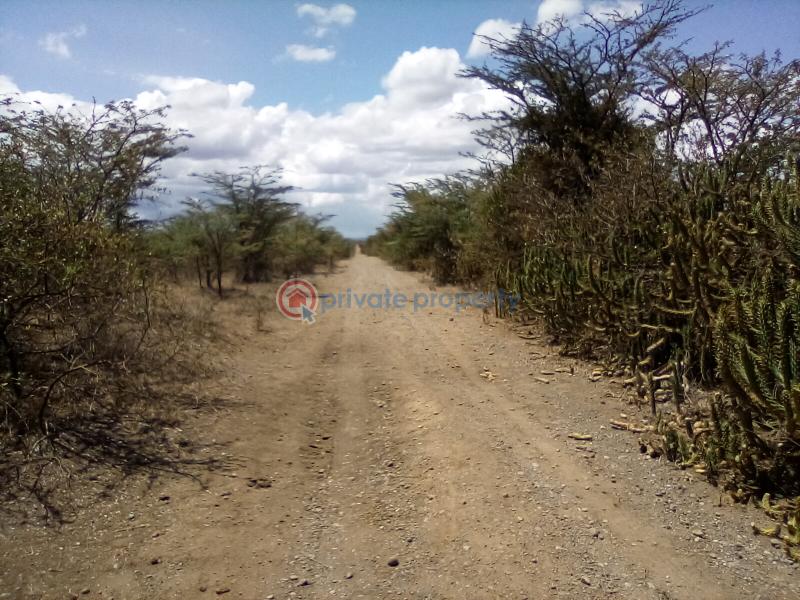 Land For Sale Nanyuki Rumuruti Rd Nanyuki Laikipia - 2