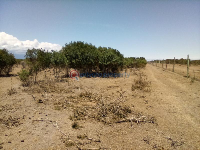 Land For Sale Nanyuki Rumuruti Rd Nanyuki Laikipia - 11