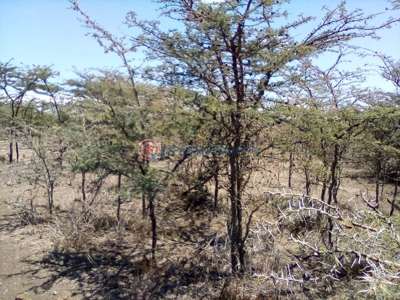 Land For Sale Nanyuki Rumuruti Rd Nanyuki Laikipia - 3