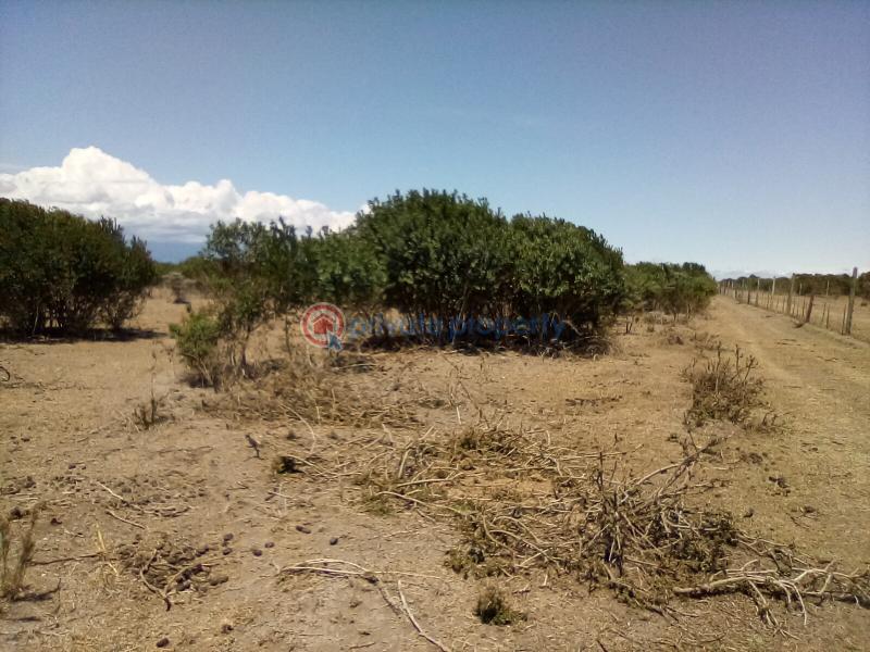 Land For Sale Nanyuki Rumuruti Rd Nanyuki Laikipia - 16
