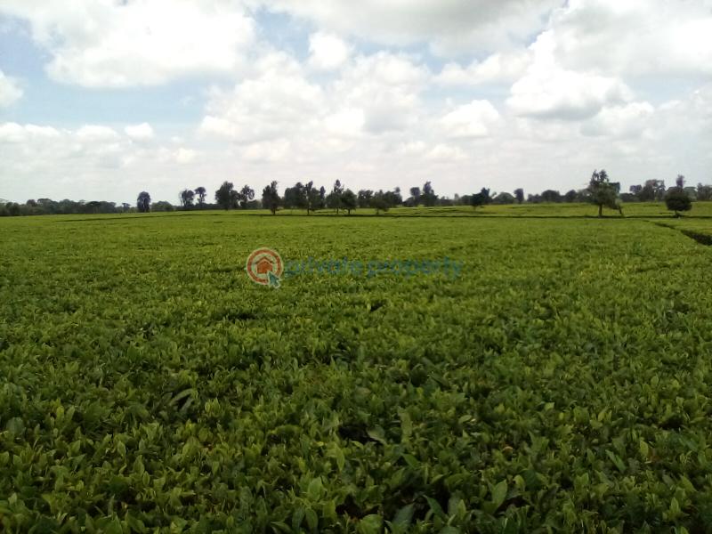 Land For Sale Kiambu Rd Cianda Kiambu - 11