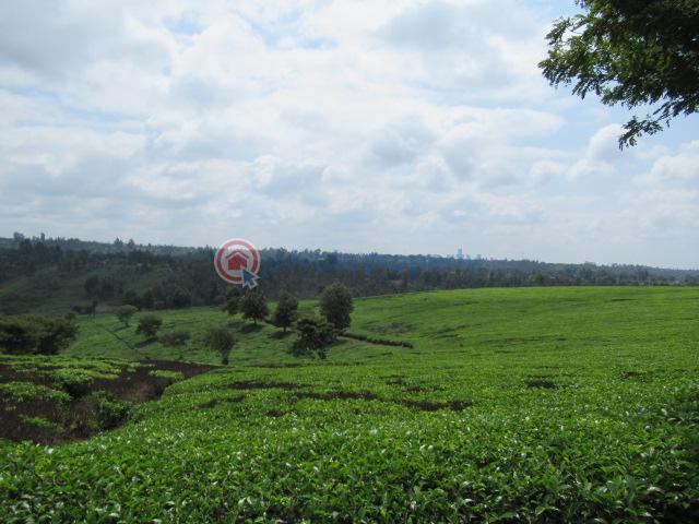 Land For Sale Kiambu Rd Cianda Kiambu - 5