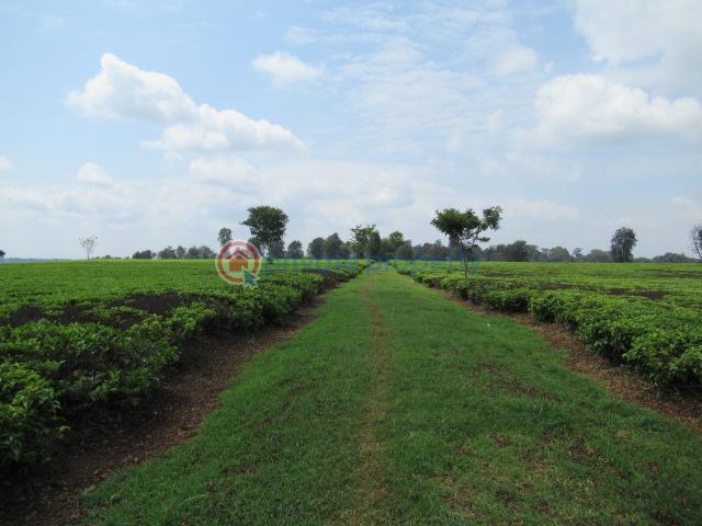 Land For Sale Kiambu Rd Cianda Kiambu - 4