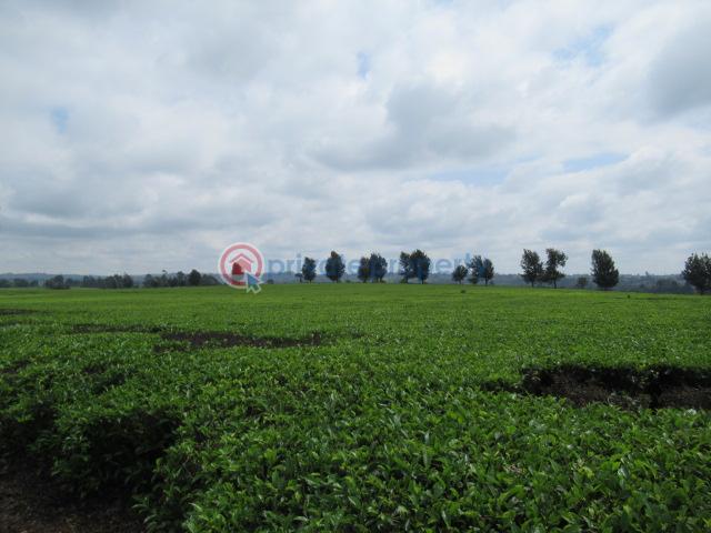 Land For Sale Kiambu Rd Cianda Kiambu - 9