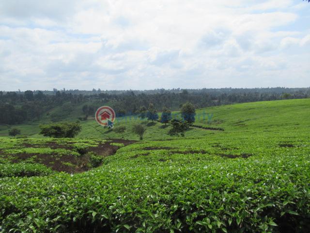 Land For Sale Kiambu Rd Cianda Kiambu - 6