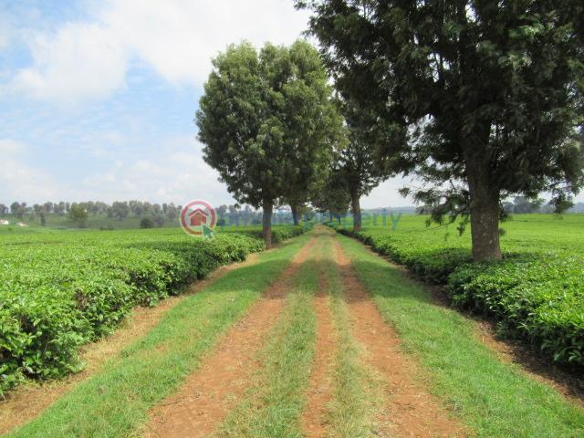 Land For Sale Kiambu Rd Cianda Kiambu - 2