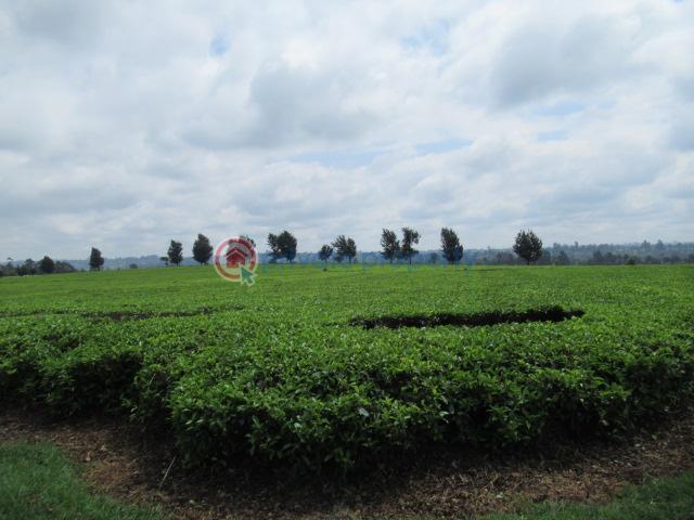 Land For Sale Kiambu Rd Cianda Kiambu - 3