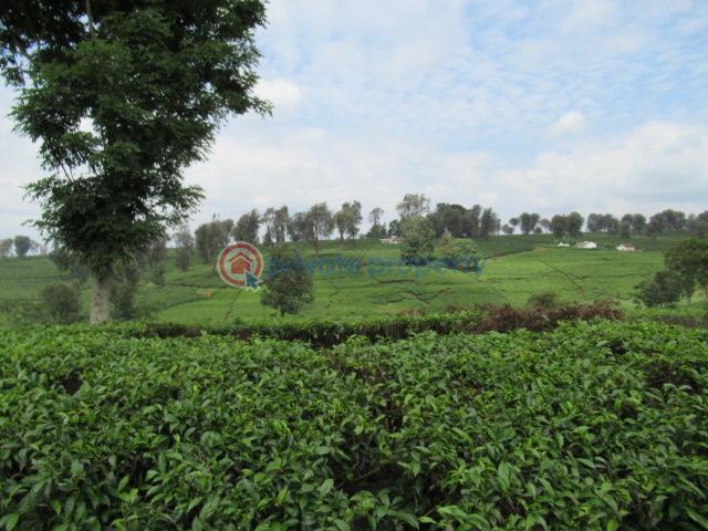 Land For Sale Kiambu Rd Cianda Kiambu - 7