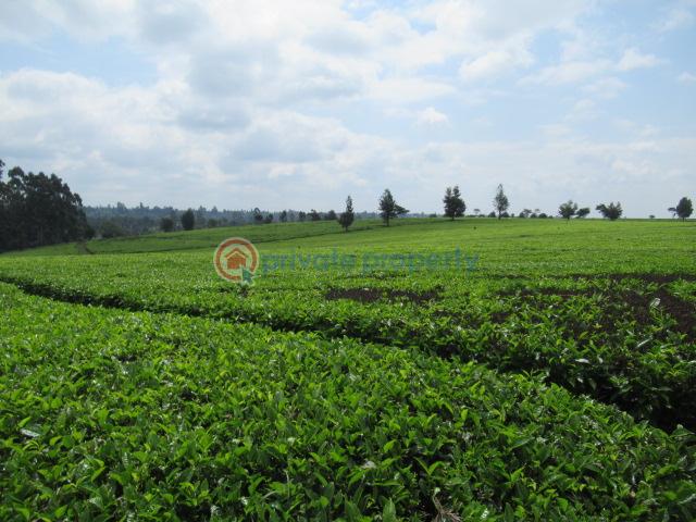 Land For Sale Kiambu Rd Cianda Kiambu - 8