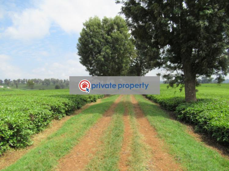 Land For Sale &nbsp;kiambu Rd Cianda Kiambu - 5