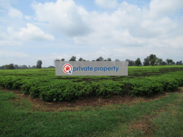Land For Sale &nbsp;kiambu Rd Cianda Kiambu - 9