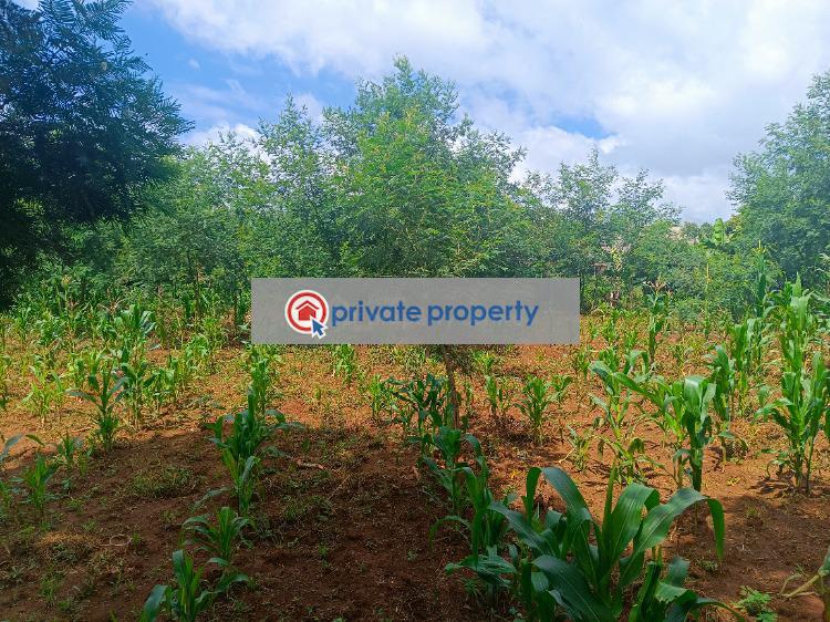Residential Land For Sale &nbsp;green Garden Main School Area Thogoto Kikuyu Kiambu - 2