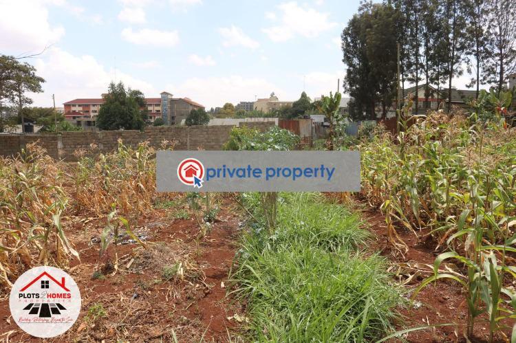 Residential Land For Sale &nbsp;damacrest School Area Thogoto Kikuyu Kiambu - 5