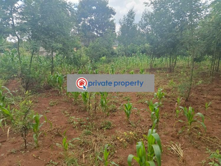 Residential Land For Sale &nbsp;green Garden Main School Area Thogoto Kikuyu Kiambu - 5