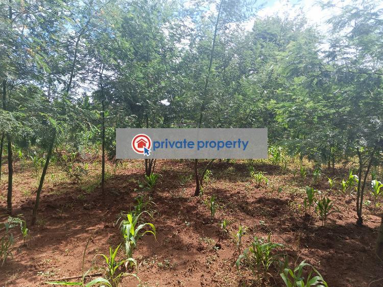 Residential Land For Sale &nbsp;green Garden Main School Area Thogoto Kikuyu Kiambu - 3