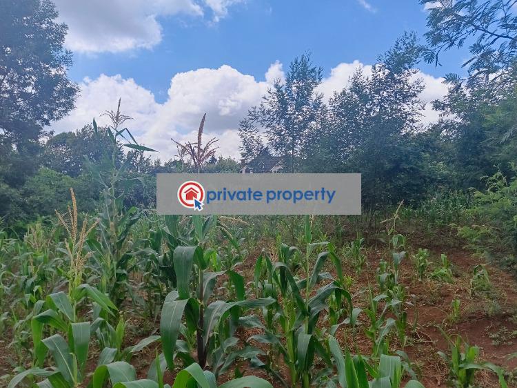 Residential Land For Sale &nbsp;green Garden Main School Area Thogoto Kikuyu Kiambu - 4