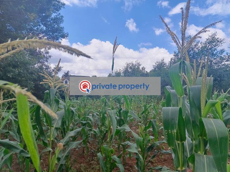 Residential Land For Sale &nbsp;green Garden Main School Area Thogoto Kikuyu Kiambu - 6