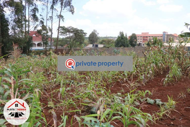 Residential Land For Sale &nbsp;damacrest School Area Thogoto Kikuyu Kiambu - 4