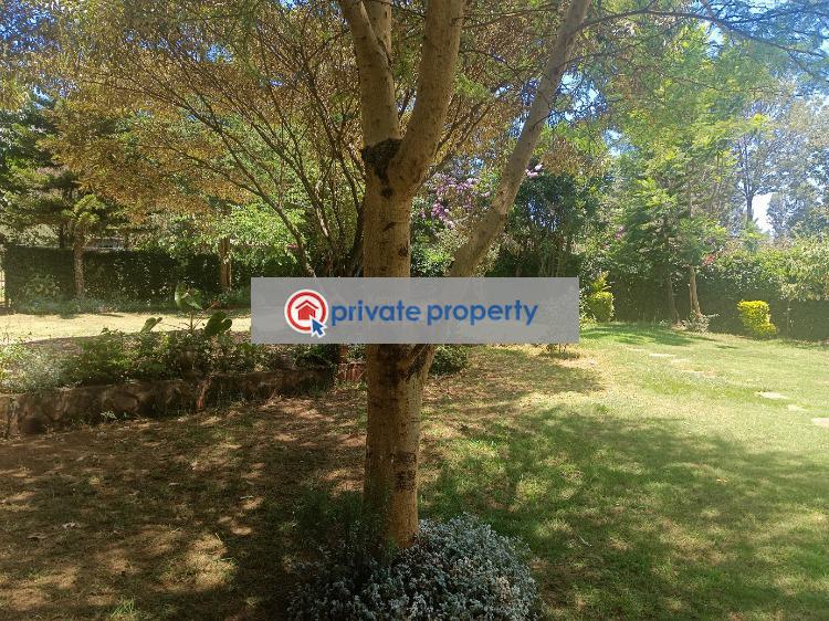 Residential Land For Sale &nbsp;damacrest School Neighborhood Thogoto Kikuyu Kiambu - 3