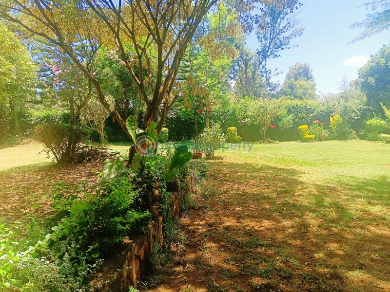 Residential Land For Sale Damacrest School Area Thogoto Kikuyu Kiambu - 4