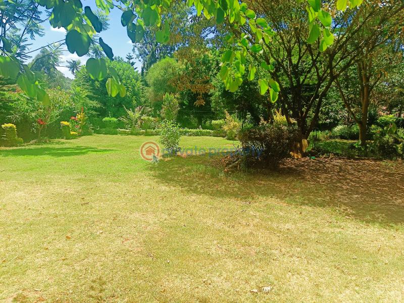 Residential Land For Sale Damacrest School Area Thogoto Kikuyu Kiambu - 6