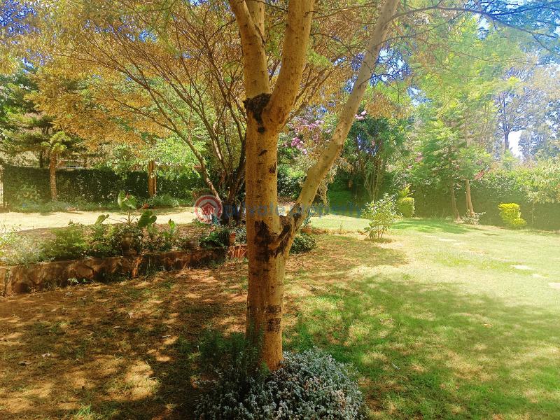 Residential Land For Sale Damacrest School Area Thogoto Kikuyu Kiambu - 3