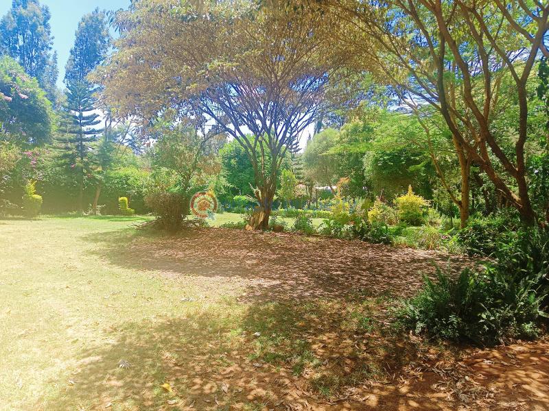 Residential Land For Sale Damacrest School Area Thogoto Kikuyu Kiambu - 5