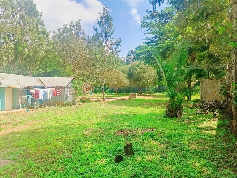 Residential Land For Sale Kia Wamagira Thogoto Kikuyu Kiambu - 4