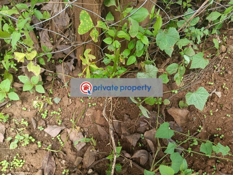 Residential Land For Sale &nbsp;royal Close, Jambu Tv Gikambura Kikuyu Kiambu - 4