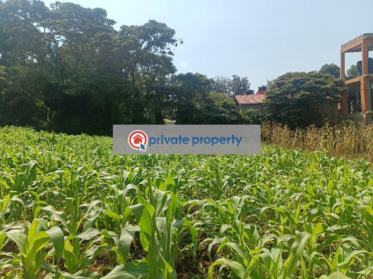Residential Land For Sale &nbsp;riu Plainsview Estate Gikambura Kikuyu Kiambu - 4