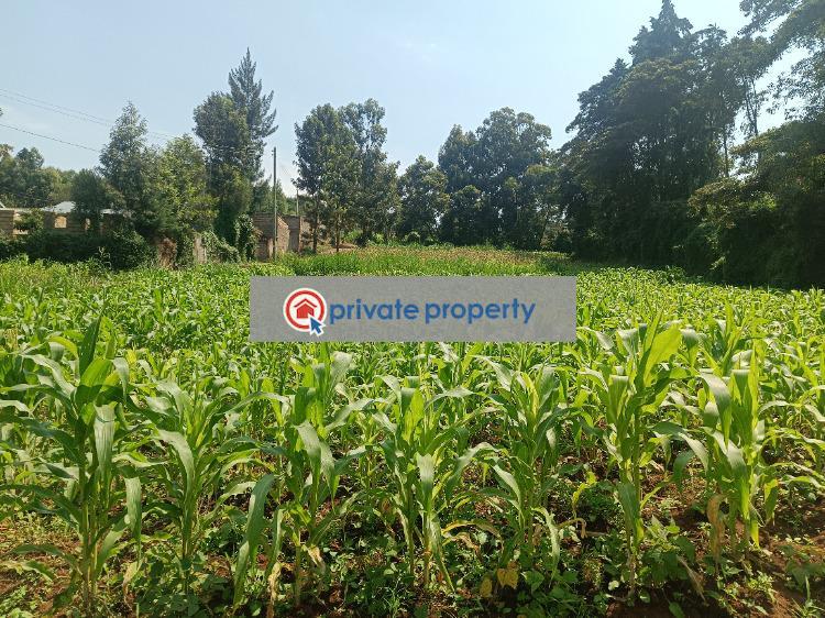 Residential Land For Sale &nbsp;riu Plainsview Estate Gikambura Kikuyu Kiambu - 5