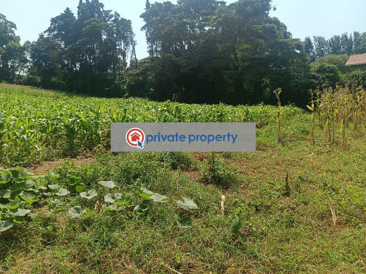 Residential Land For Sale &nbsp;riu Plainsview Estate Gikambura Kikuyu Kiambu - 6