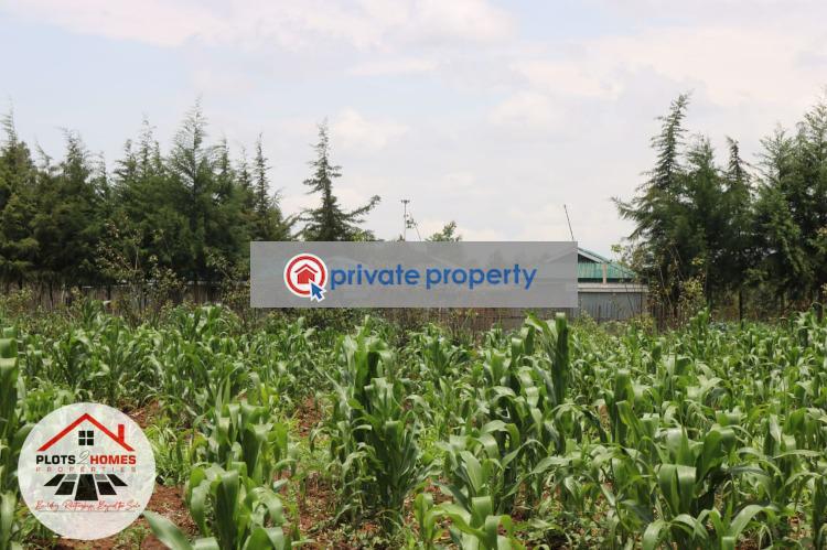Residential Land For Sale &nbsp;ngamba Kamangu Kikuyu Kiambu - 13