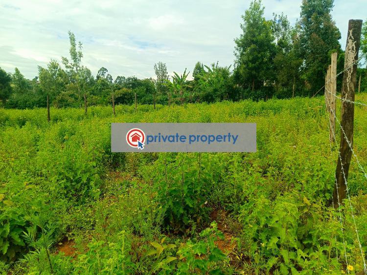 Residential Land For Sale &nbsp;kamuita Gikambura Kikuyu Kiambu - 6