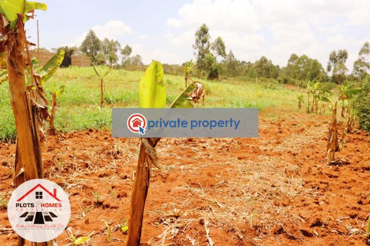 Residential Land For Sale &nbsp;riu Nderi Gikambura Kikuyu Kiambu - 4