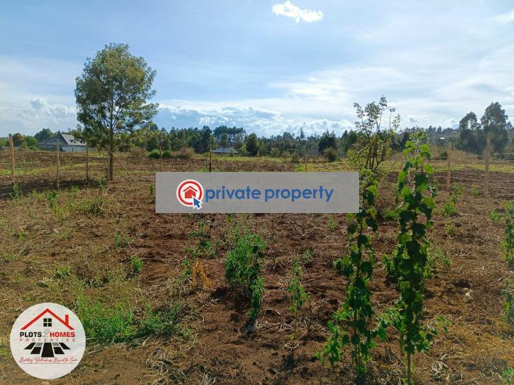 Residential Land For Sale &nbsp;migumoini Kikuyu Kiambu - 3