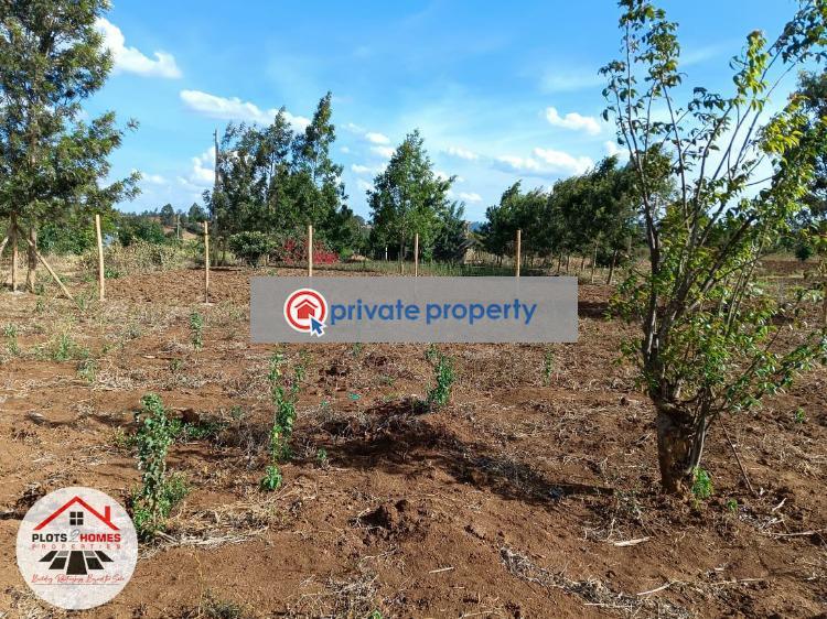 Residential Land For Sale &nbsp;migumoini Kikuyu Kiambu - 5