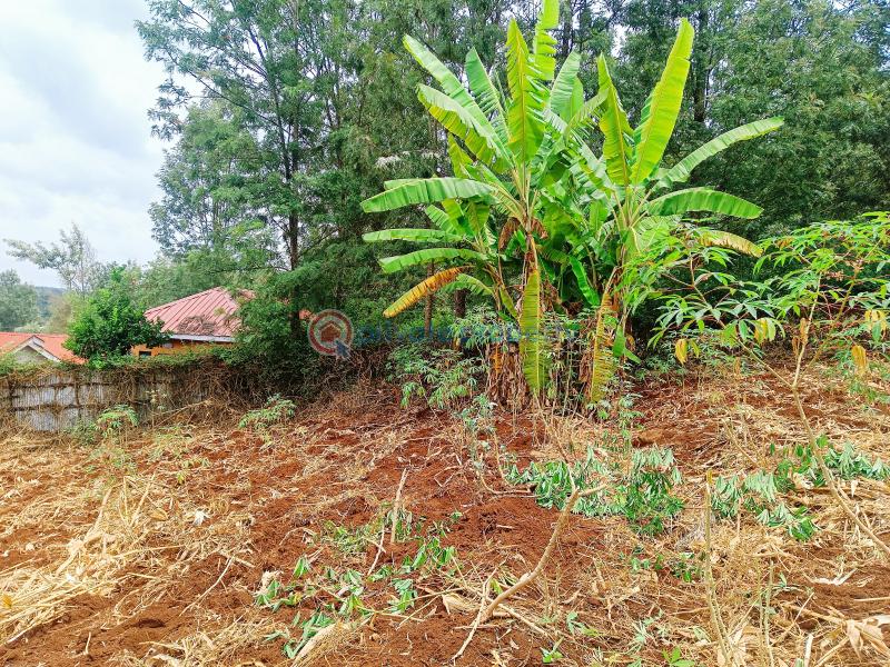 Residential Land For Sale Olkeri Matasia Ngong Kajiado - 7